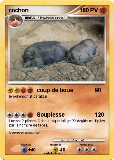 Pokemon cochon