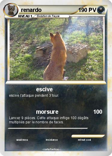 Pokemon renardo