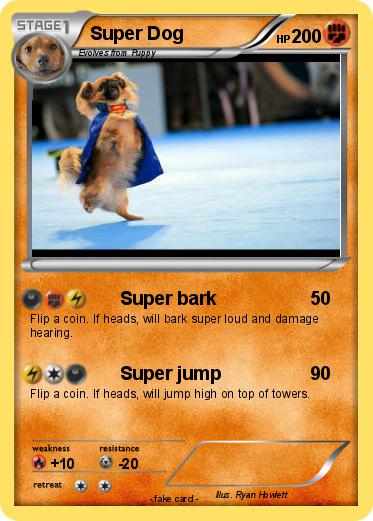 Pokemon Super Dog