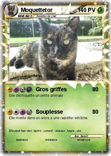 Pokemon Moquettetor
