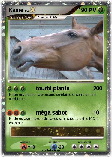 Pokemon Kasie