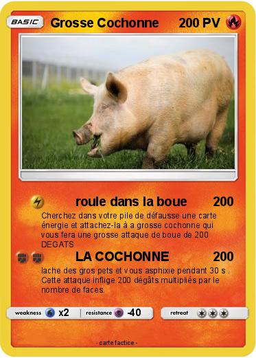 Pokemon Grosse Cochonne