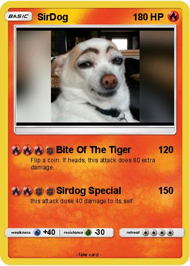 Pokemon SirDog