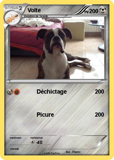Pokemon Volte