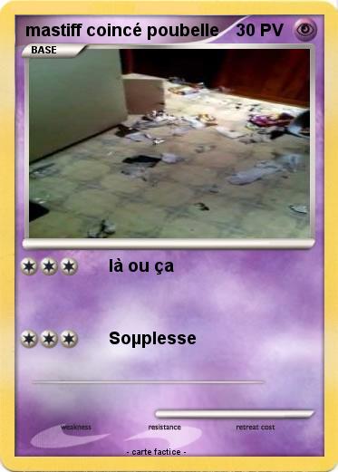 Pokemon mastiff coincé poubelle