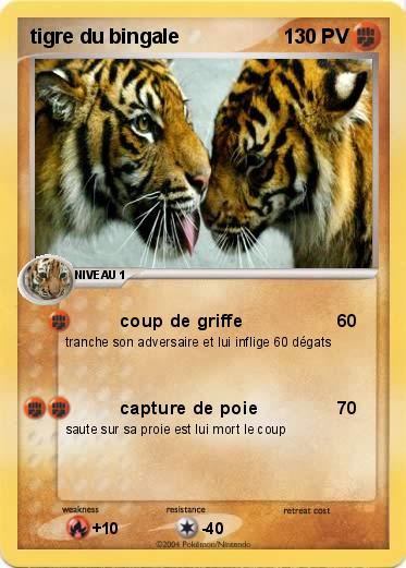 Pokemon tigre du bingale