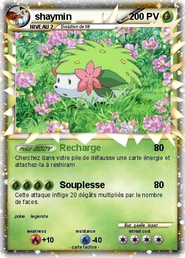Pokemon shaymin
