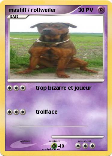 Pokemon mastiff / rottweiler