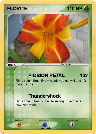 Pokemon FLORITE