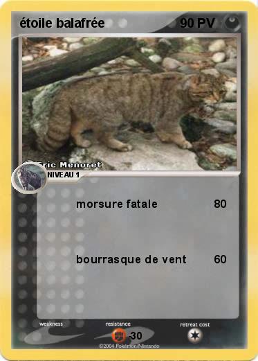 Pokemon étoile balafrée