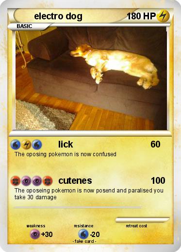 Pokemon electro dog