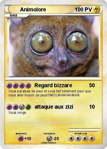 Pokemon Animolore