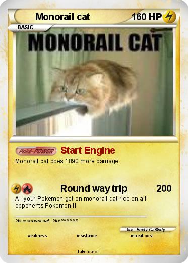 Pokemon Monorail cat