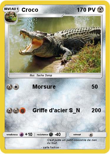 Pokemon Croco