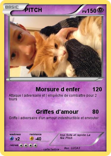 Pokemon PITCH