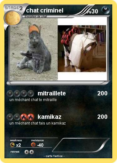 Pokemon chat criminel