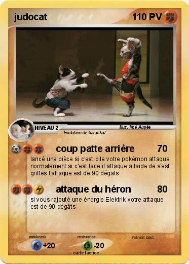 Pokemon judocat