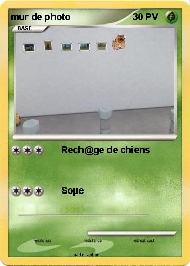 Pokemon mur de photo