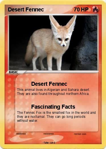 Pokemon Desert Fennec