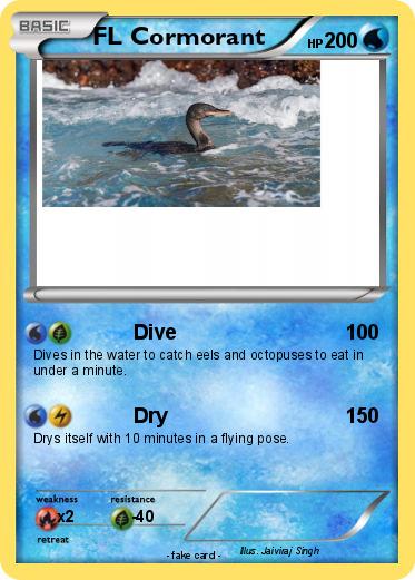 Pokemon FL Cormorant