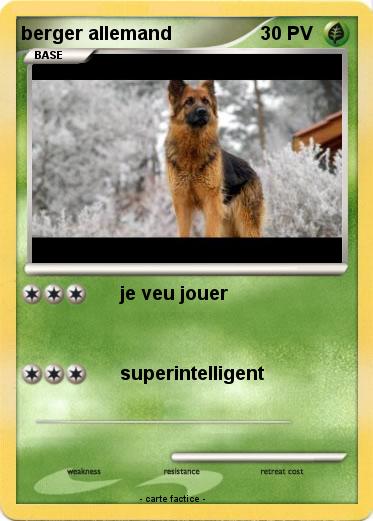 Pokemon berger allemand