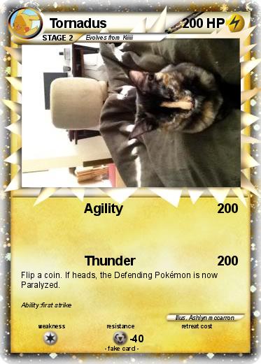 Pokemon Tornadus
