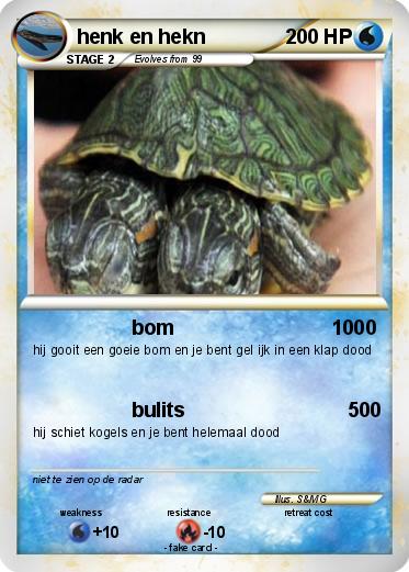 Pokemon henk en hekn