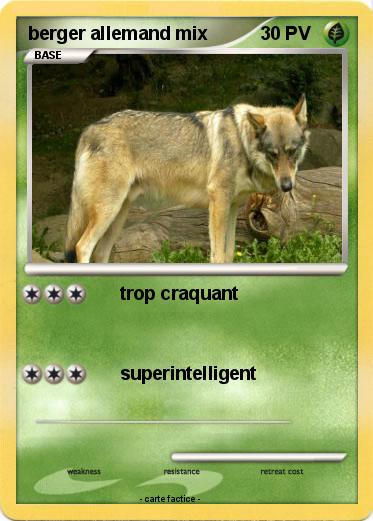 Pokemon berger allemand mix