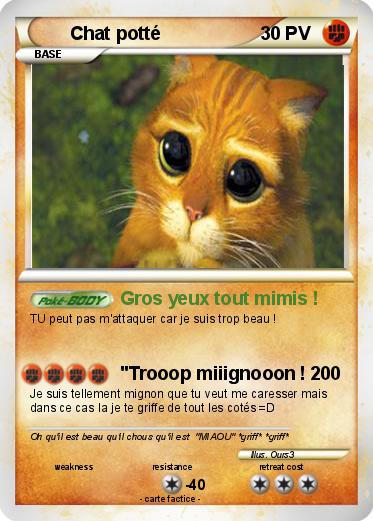 Pokemon Chat potté