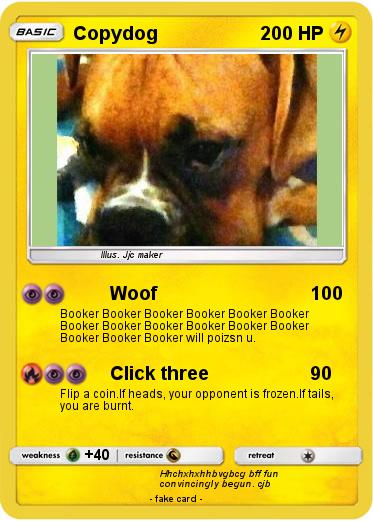 Pokemon Copydog