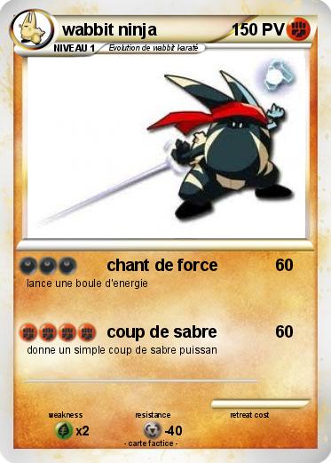 Pokemon wabbit ninja