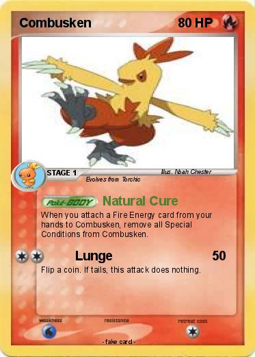 Pokemon Combusken