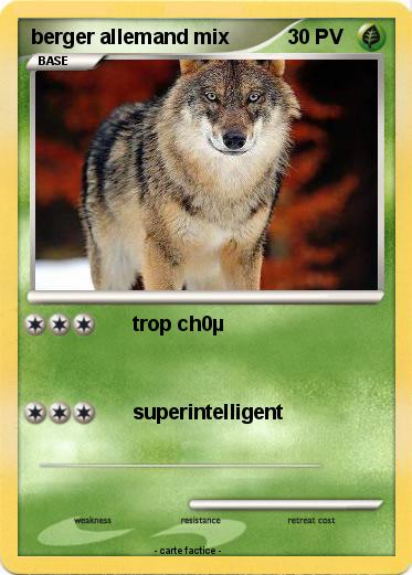 Pokemon berger allemand mix