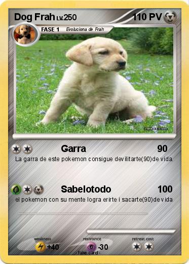 Pokemon Dog Frah