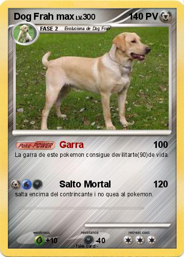 Pokemon Dog Frah max
