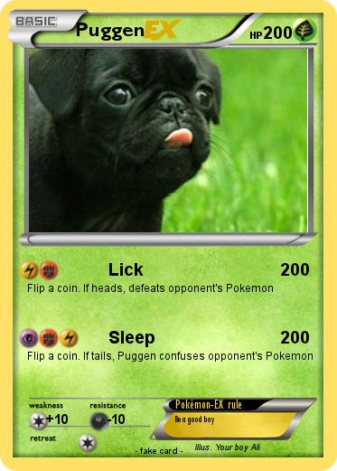 Pokemon Puggen