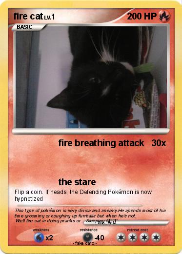 Pokemon fire cat