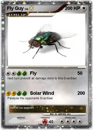 Pokemon Fly Guy