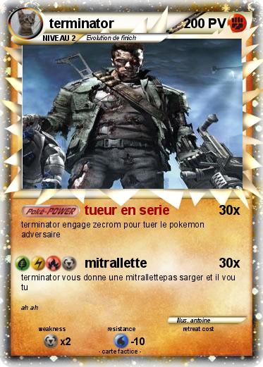 Pokemon terminator