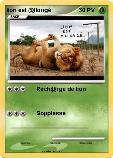 Pokemon lion est @llongé
