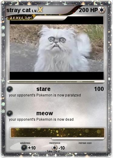 Pokemon stray cat