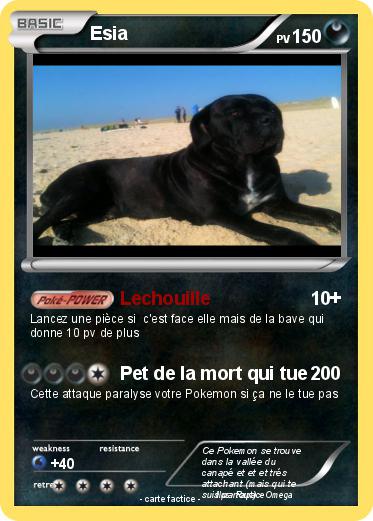 Pokemon Esia