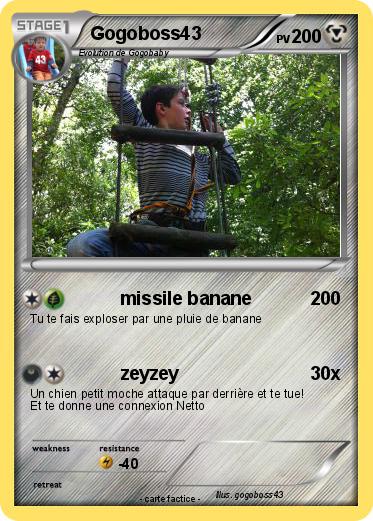 Pokemon Gogoboss43
