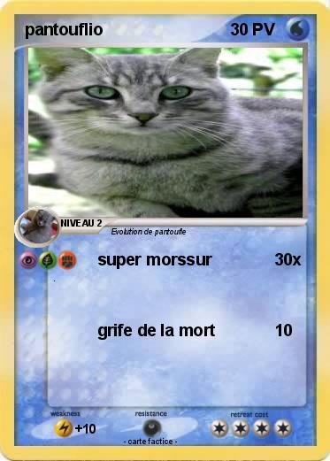 Pokemon pantouflio