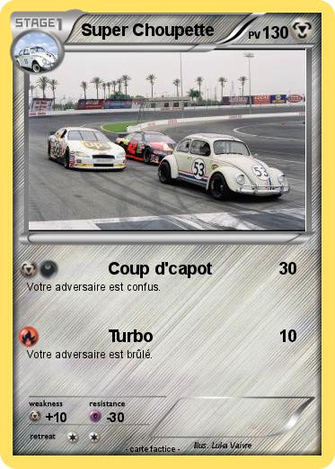 Pokemon Super Choupette