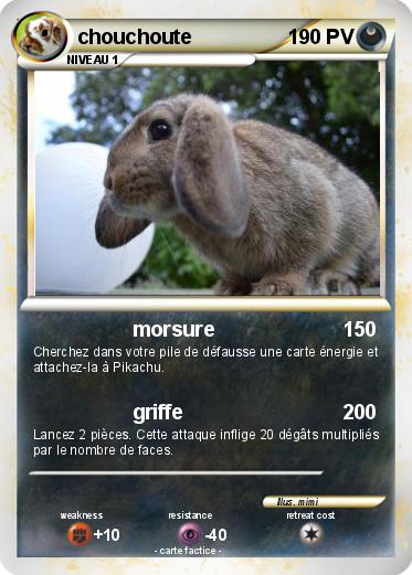 Pokemon chouchoute