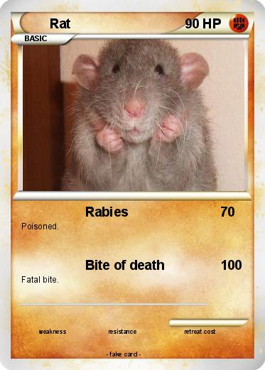 Pokemon Rat