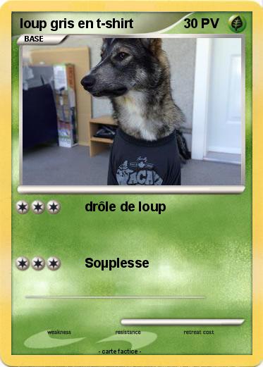 Pokemon loup gris en t-shirt