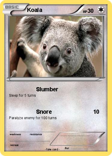 Pokemon Koala