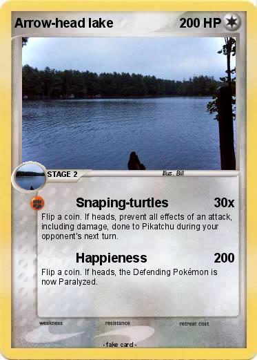 Pokemon Arrow-head lake